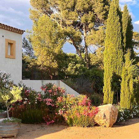 Domaine De L'Herbe Sainte Mirepeisset المظهر الخارجي الصورة