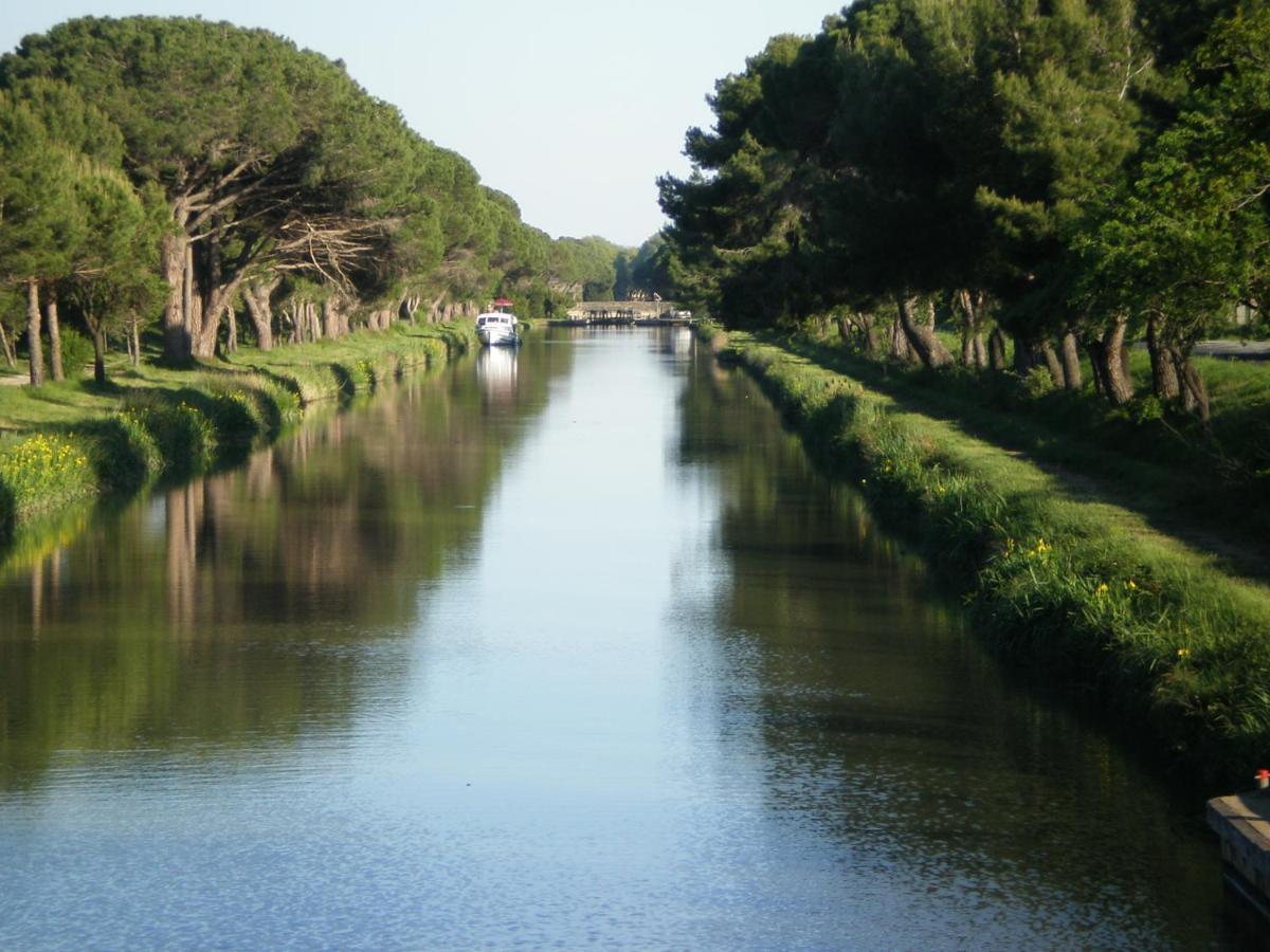 Domaine De L'Herbe Sainte Mirepeisset المظهر الخارجي الصورة
