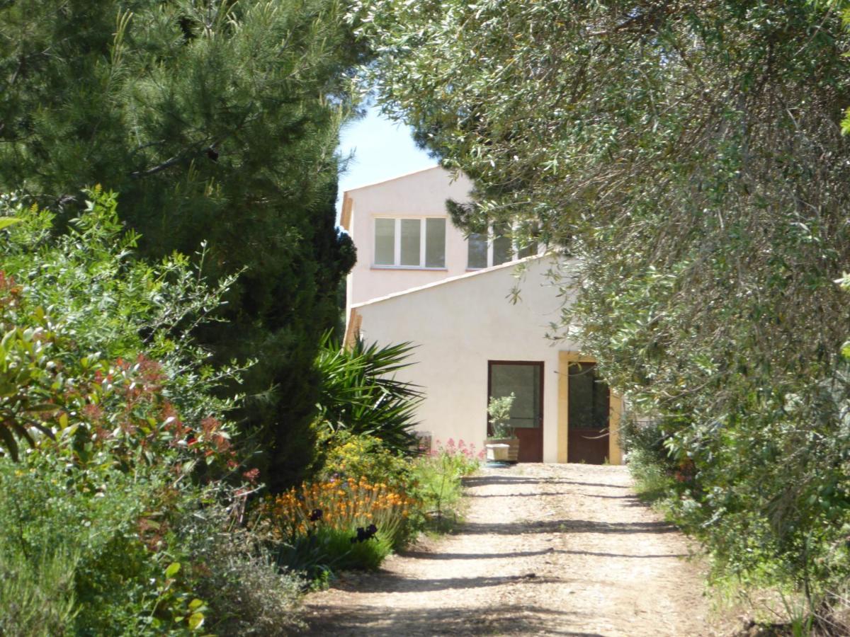 Domaine De L'Herbe Sainte Mirepeisset المظهر الخارجي الصورة
