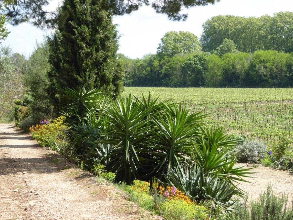 Domaine De L'Herbe Sainte Mirepeisset المظهر الخارجي الصورة