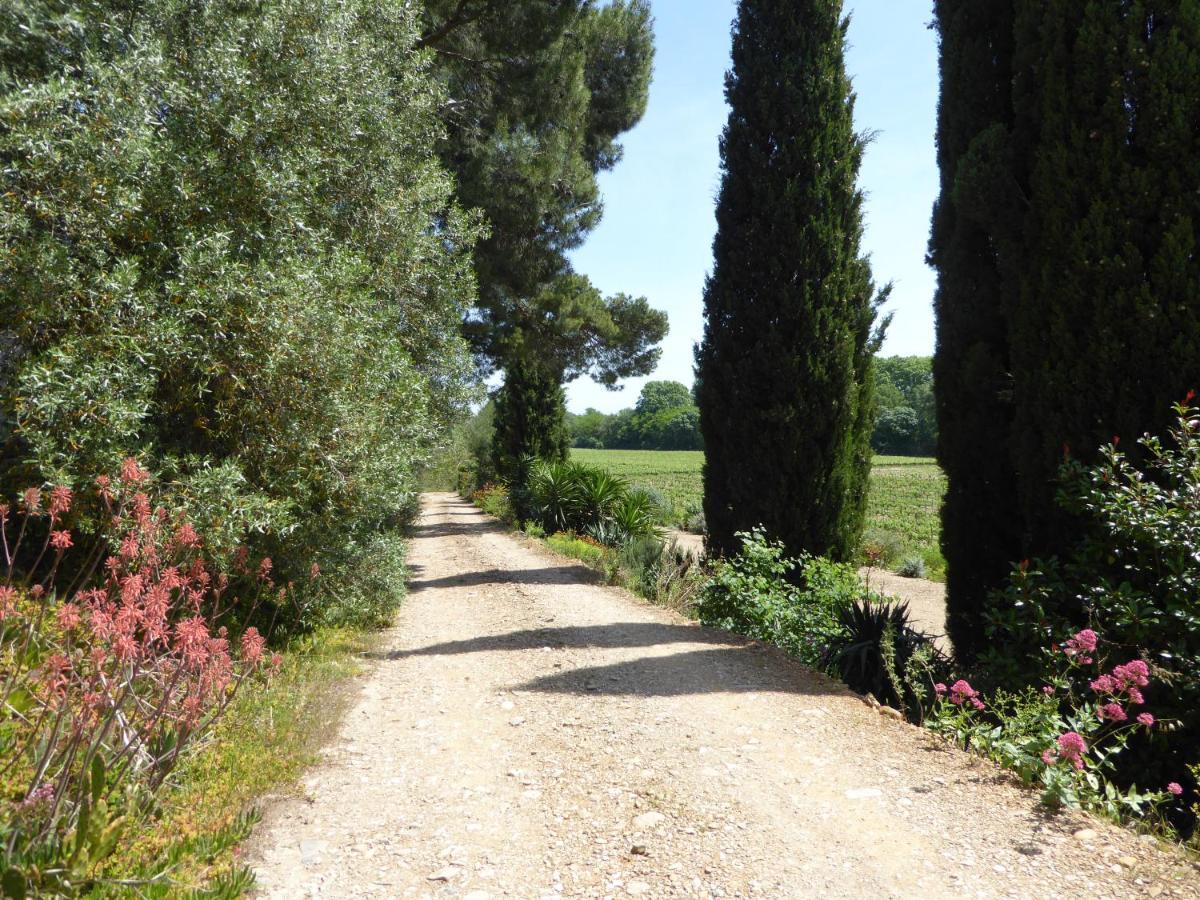Domaine De L'Herbe Sainte Mirepeisset المظهر الخارجي الصورة