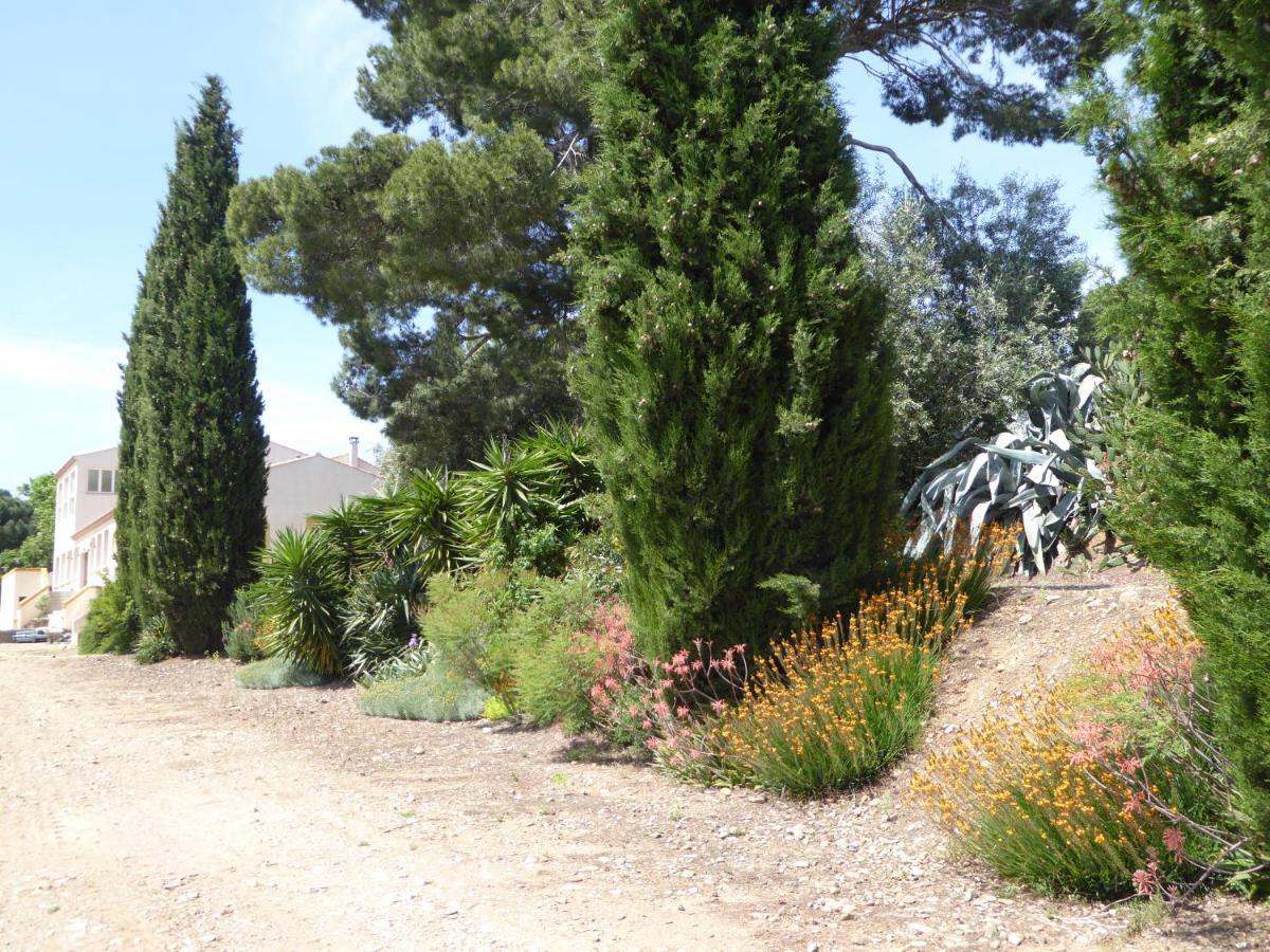 Domaine De L'Herbe Sainte Mirepeisset المظهر الخارجي الصورة