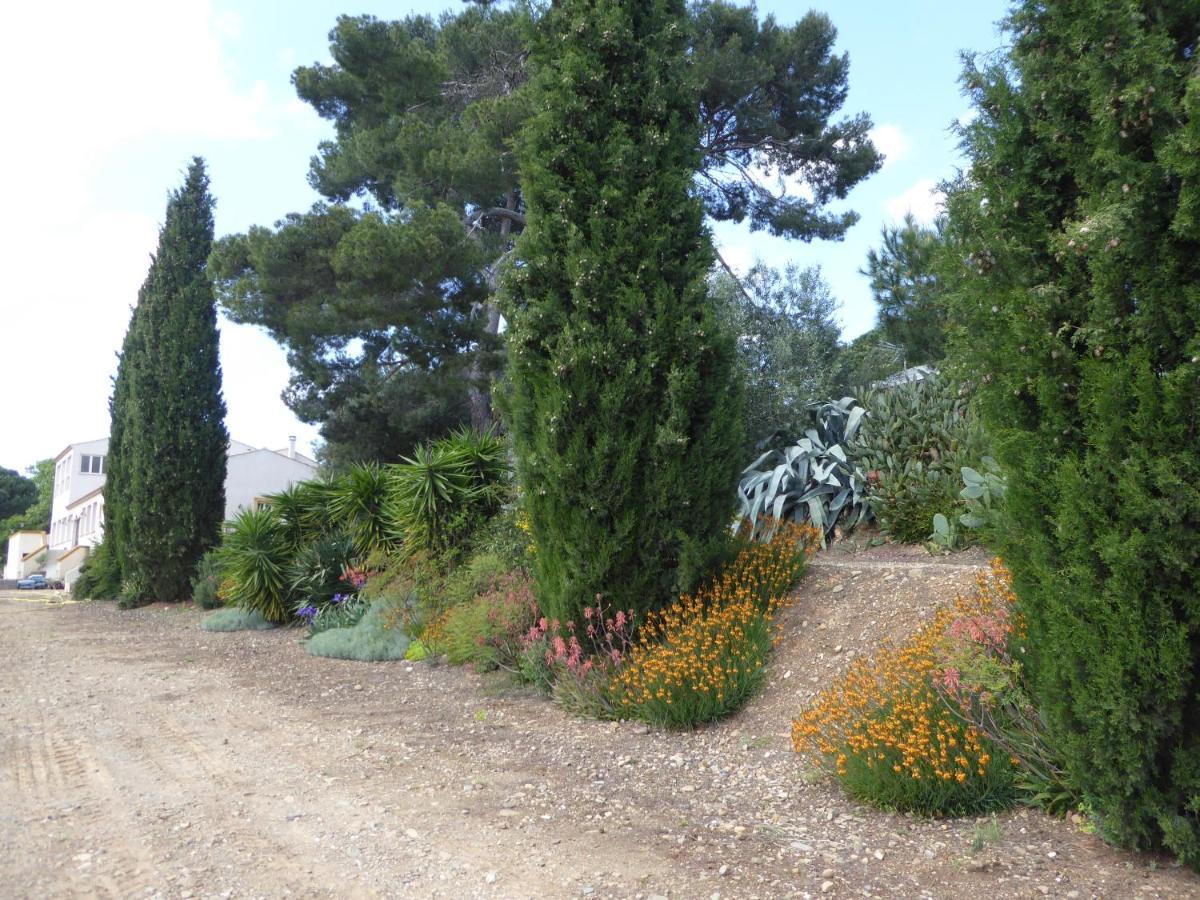 Domaine De L'Herbe Sainte Mirepeisset المظهر الخارجي الصورة