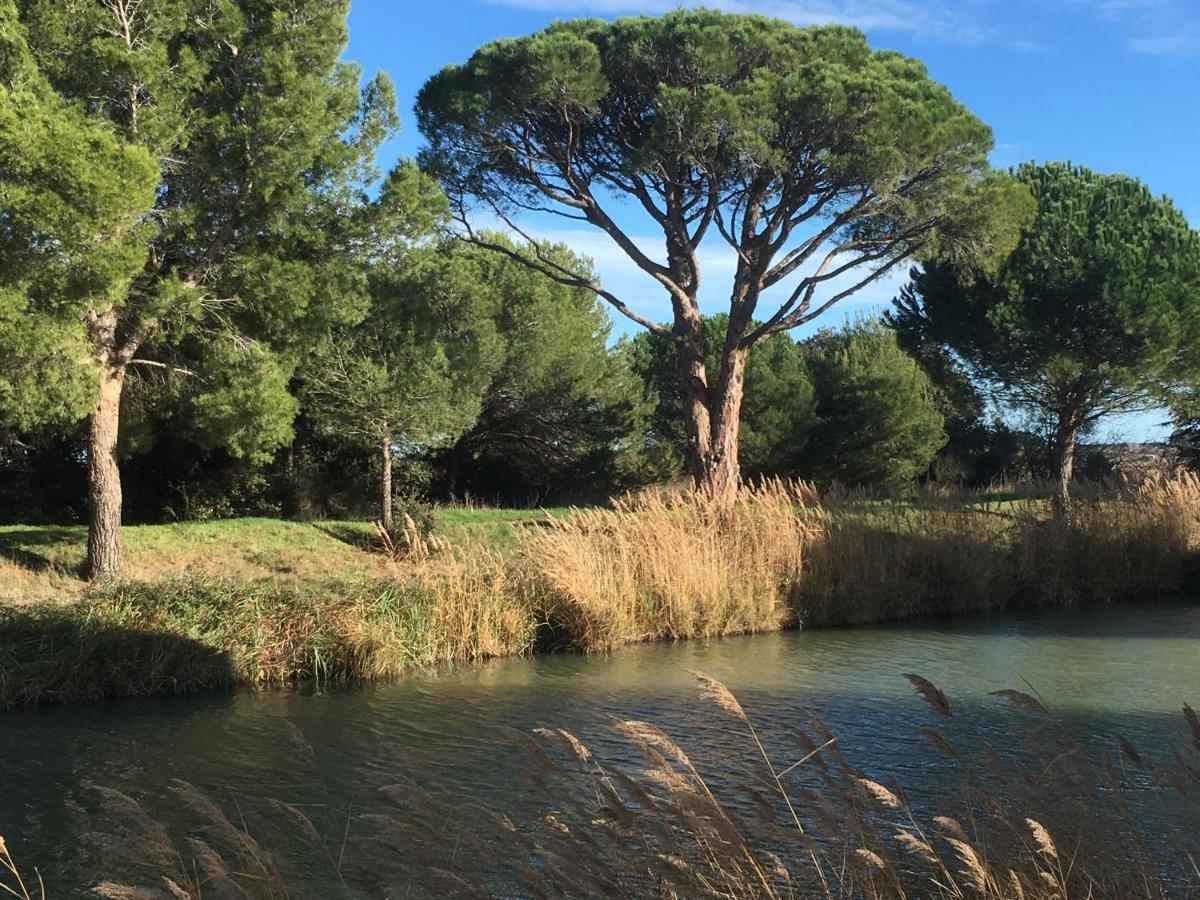 Domaine De L'Herbe Sainte Mirepeisset المظهر الخارجي الصورة