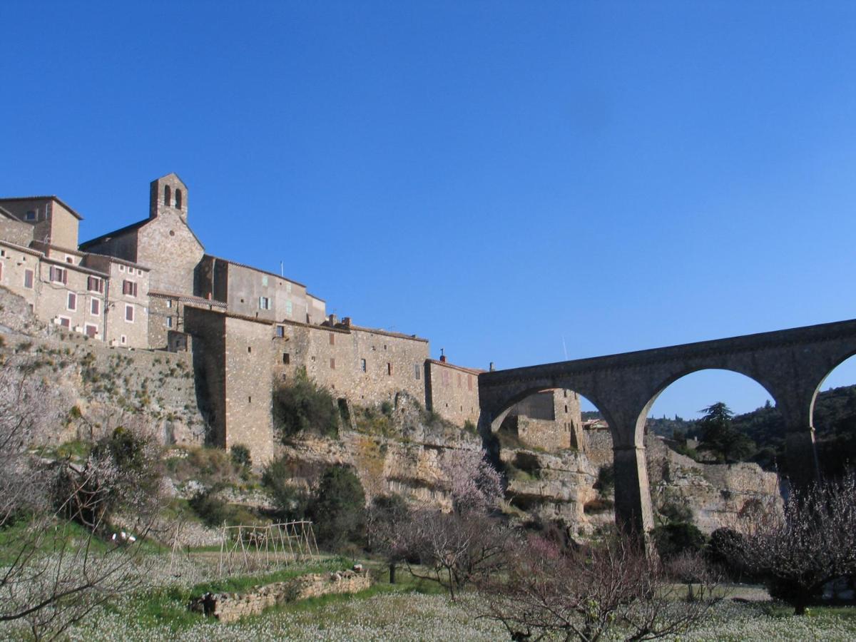 Domaine De L'Herbe Sainte Mirepeisset المظهر الخارجي الصورة