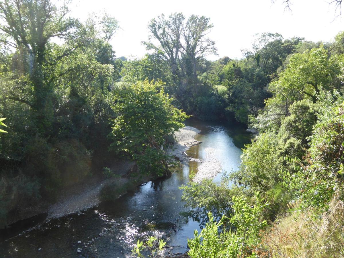 Domaine De L'Herbe Sainte Mirepeisset المظهر الخارجي الصورة