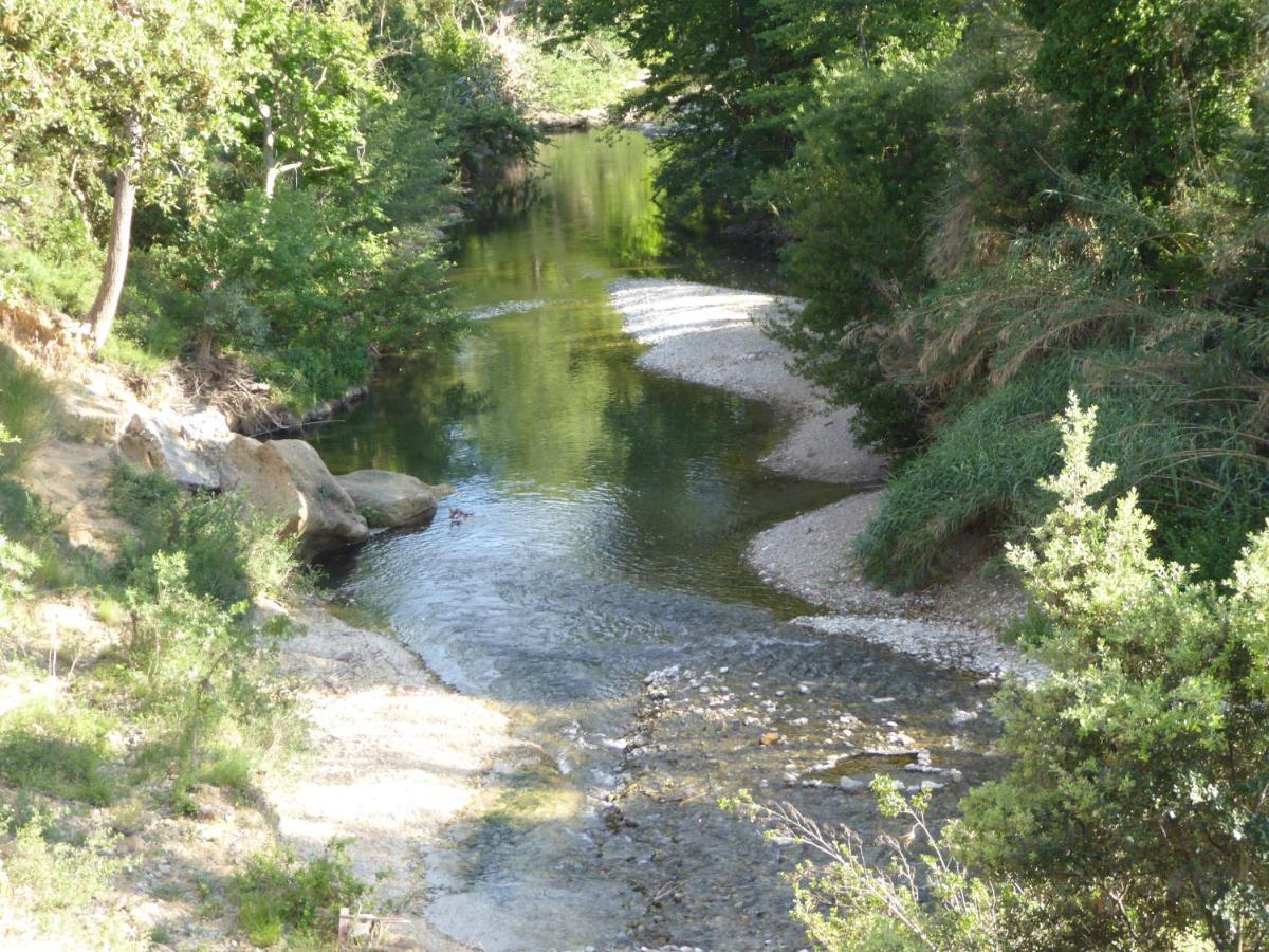 Domaine De L'Herbe Sainte Mirepeisset المظهر الخارجي الصورة