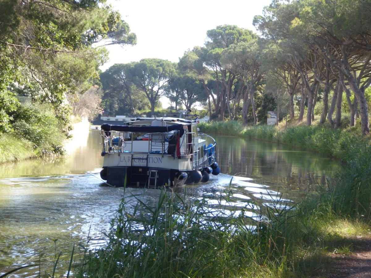 Domaine De L'Herbe Sainte Mirepeisset المظهر الخارجي الصورة