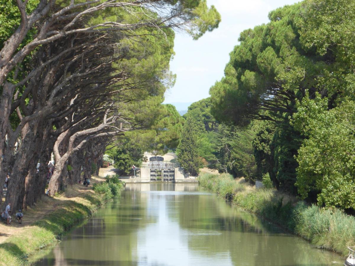 Domaine De L'Herbe Sainte Mirepeisset المظهر الخارجي الصورة