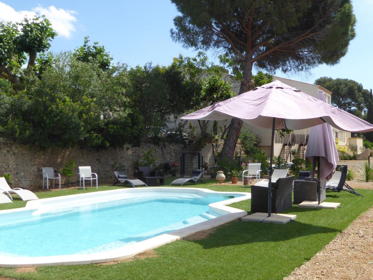 Domaine De L'Herbe Sainte Mirepeisset المظهر الخارجي الصورة
