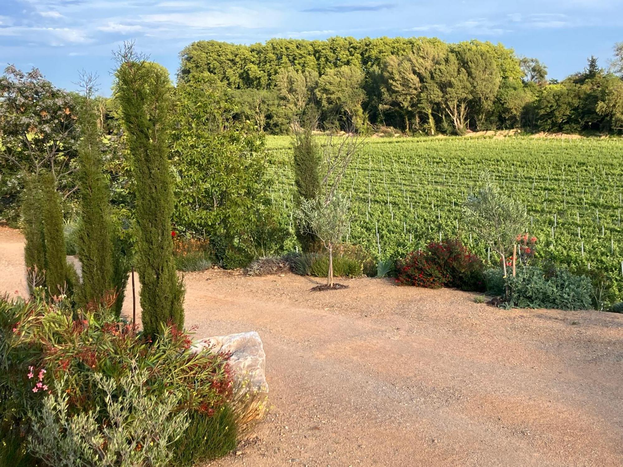 Domaine De L'Herbe Sainte Mirepeisset المظهر الخارجي الصورة
