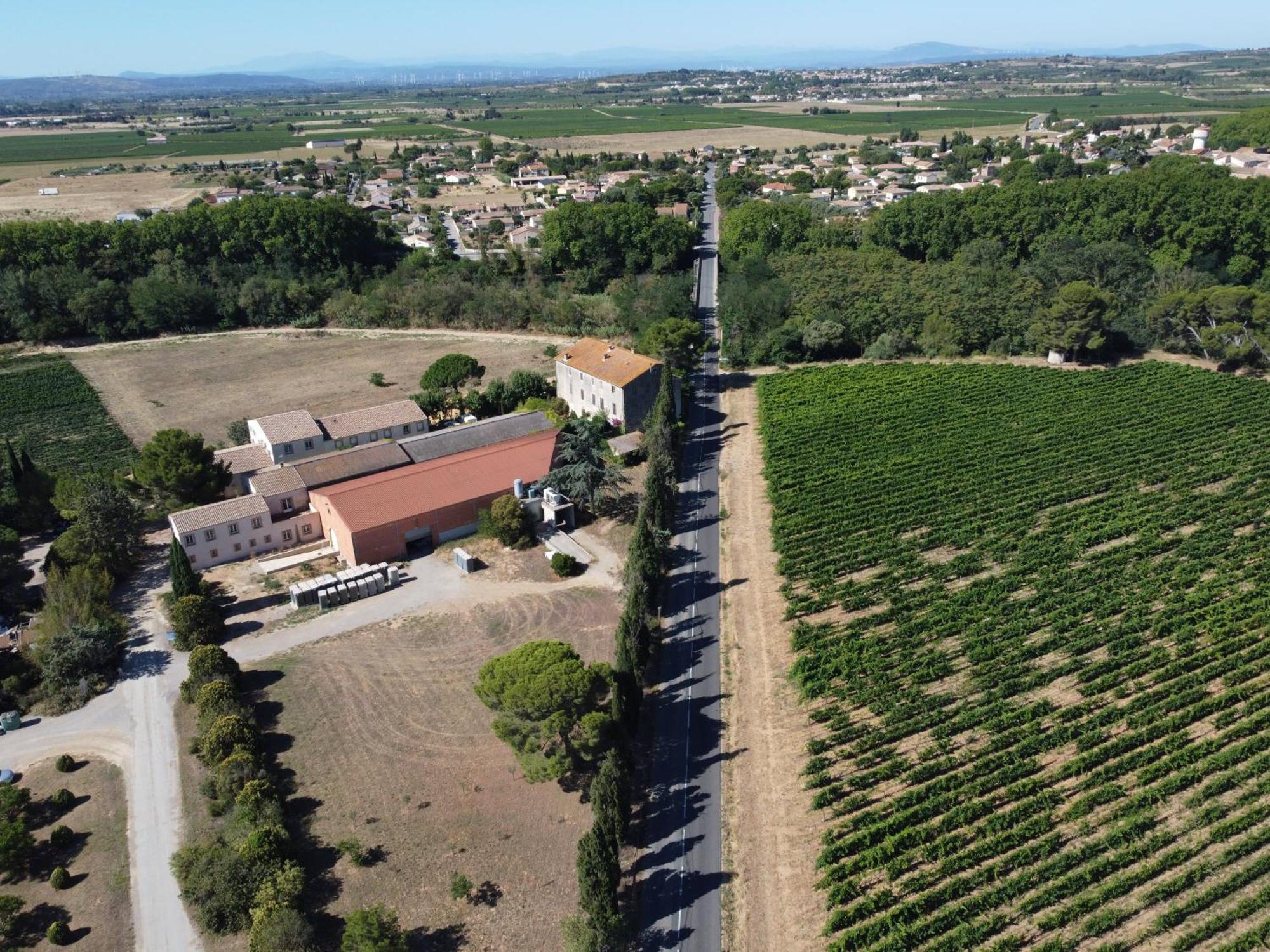 Domaine De L'Herbe Sainte Mirepeisset المظهر الخارجي الصورة