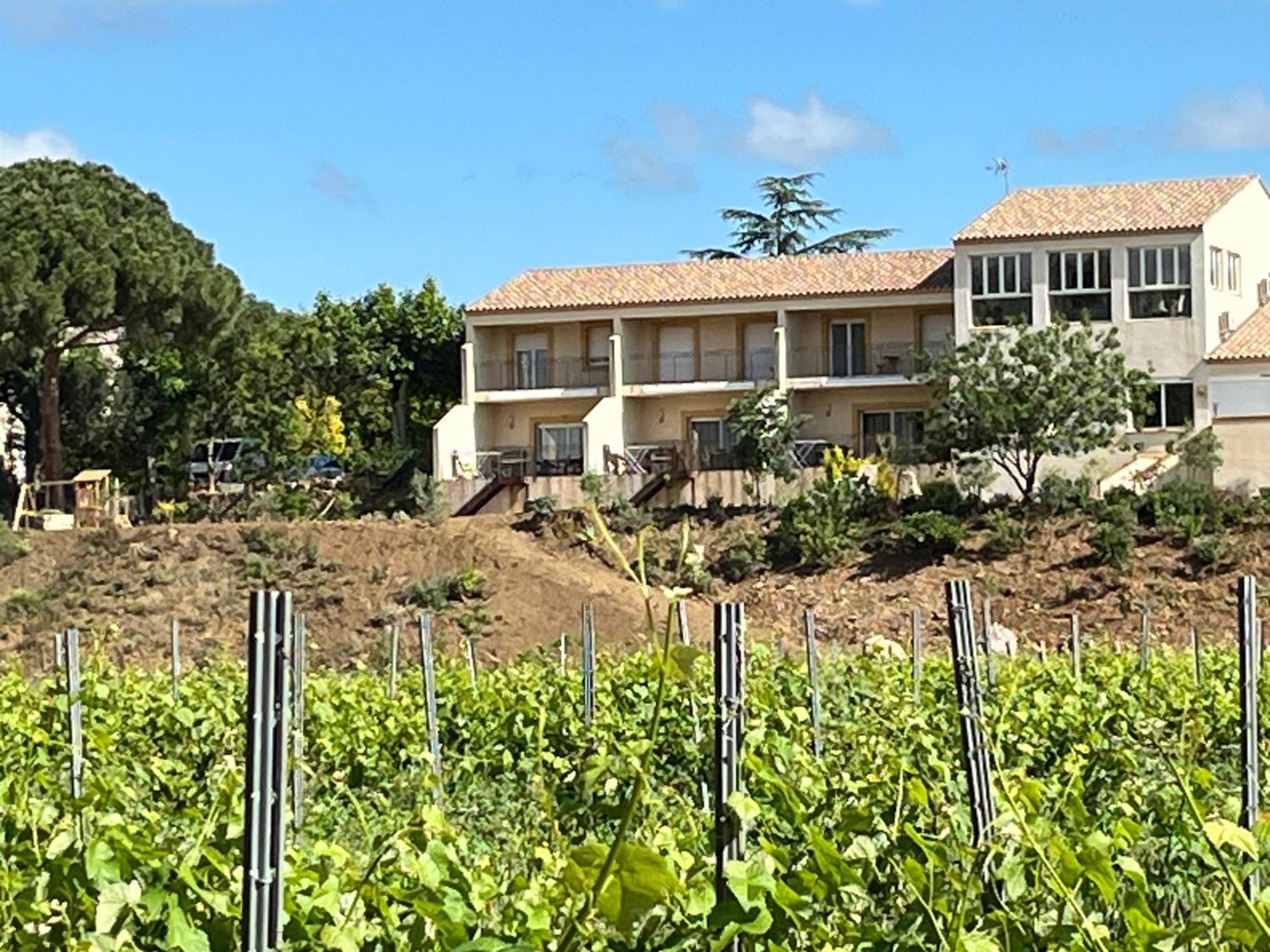 Domaine De L'Herbe Sainte Mirepeisset المظهر الخارجي الصورة