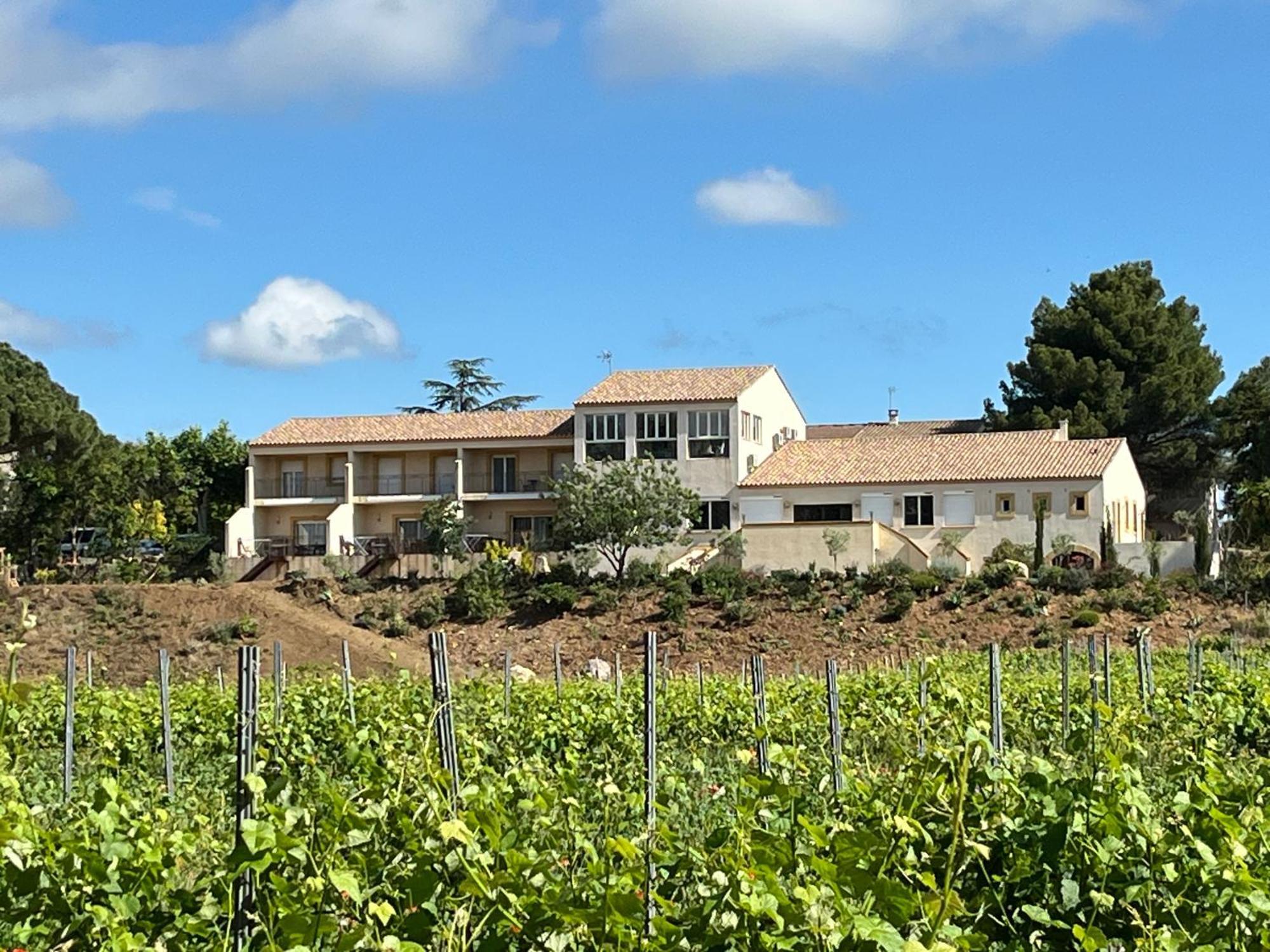 Domaine De L'Herbe Sainte Mirepeisset المظهر الخارجي الصورة